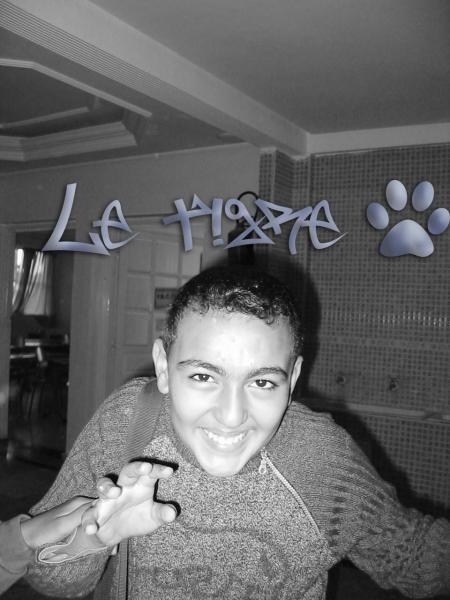 LE TIGRE